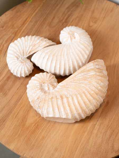 Wooden Seashell