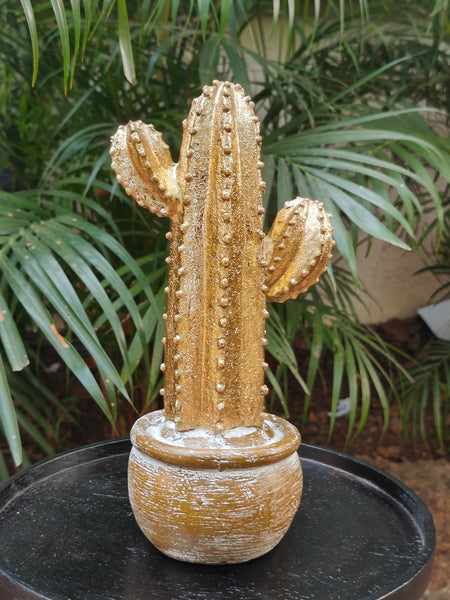 Gold Cactus In Pot