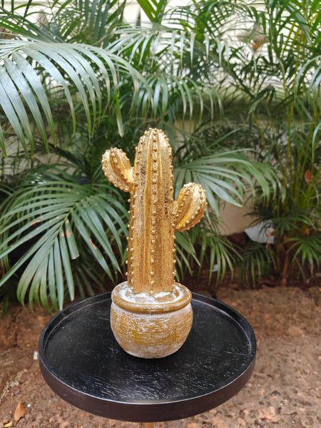 Gold Cactus In Pot