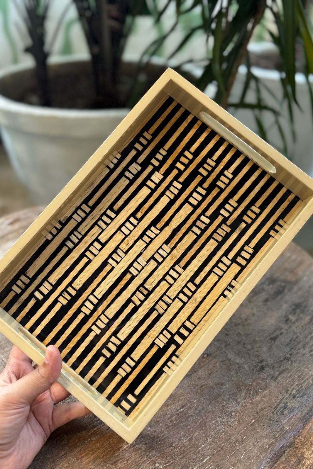 Ladder Tray