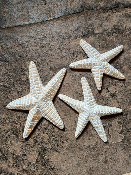 Starfish Trio - Set of 3
