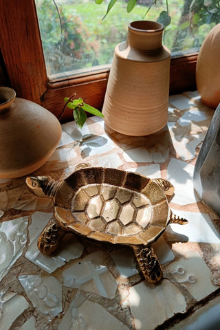 Tortoise Dish