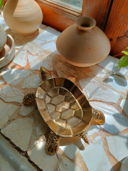 Tortoise Dish