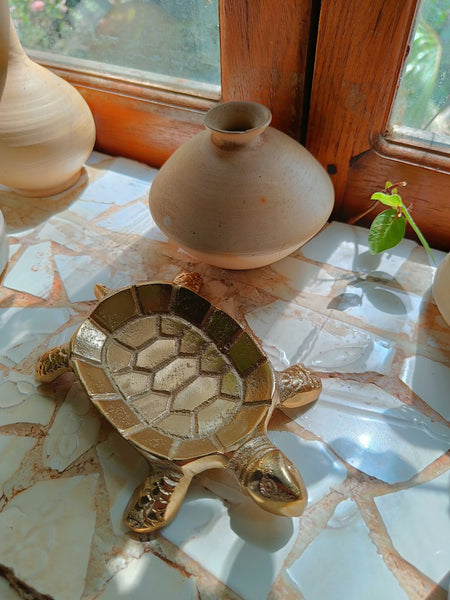 Tortoise Dish