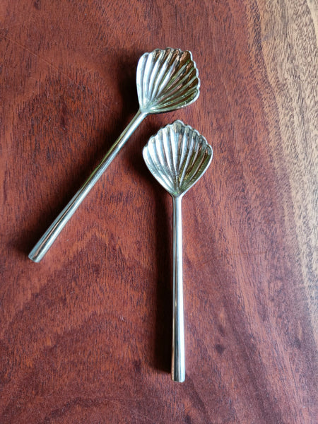 Shell Spoon Set