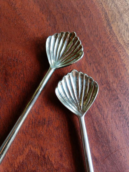 Shell Spoon Set