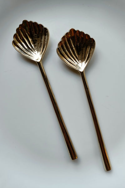 Shell Spoon Set