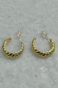 Golden Macaw Earrings