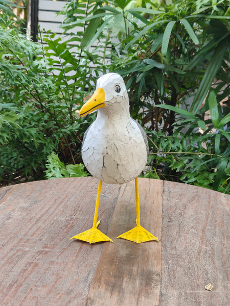 Standing Gull