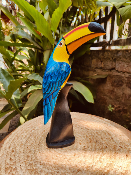 Perched Toucan