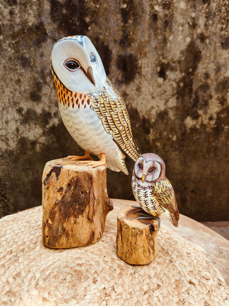 Brown Owl