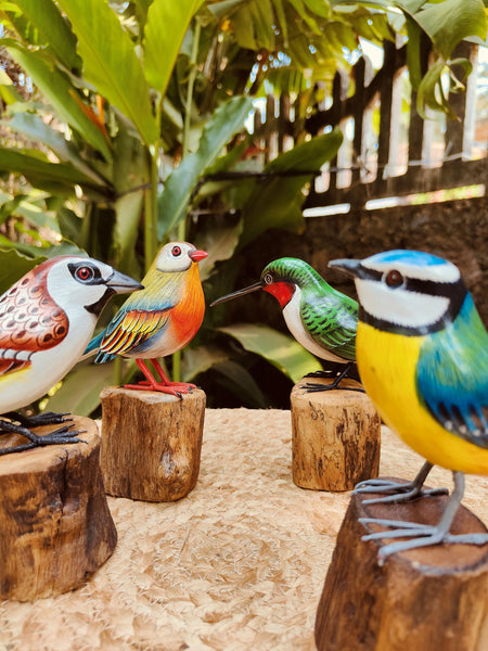 Pocket Birds - Small