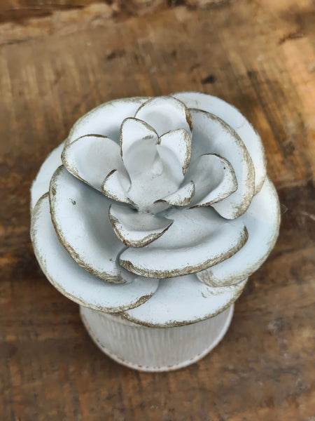 Camelia Candle