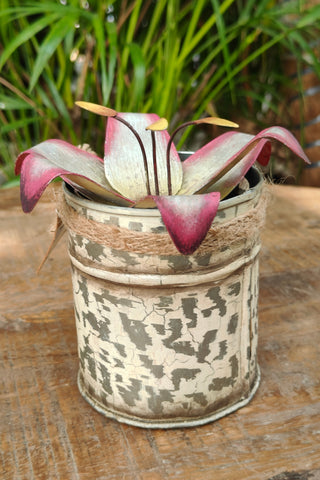 Water Lily Candle