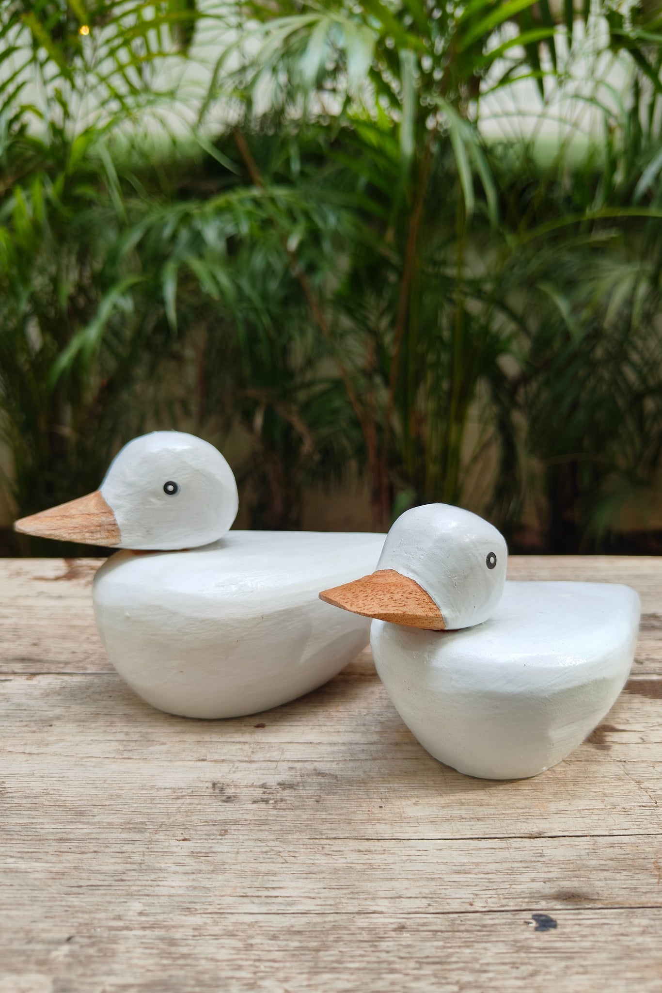 Ducky - Set of 2