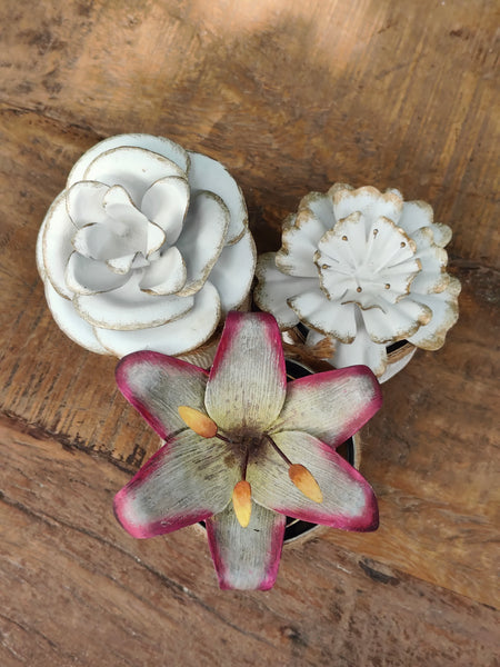 Camelia Candle