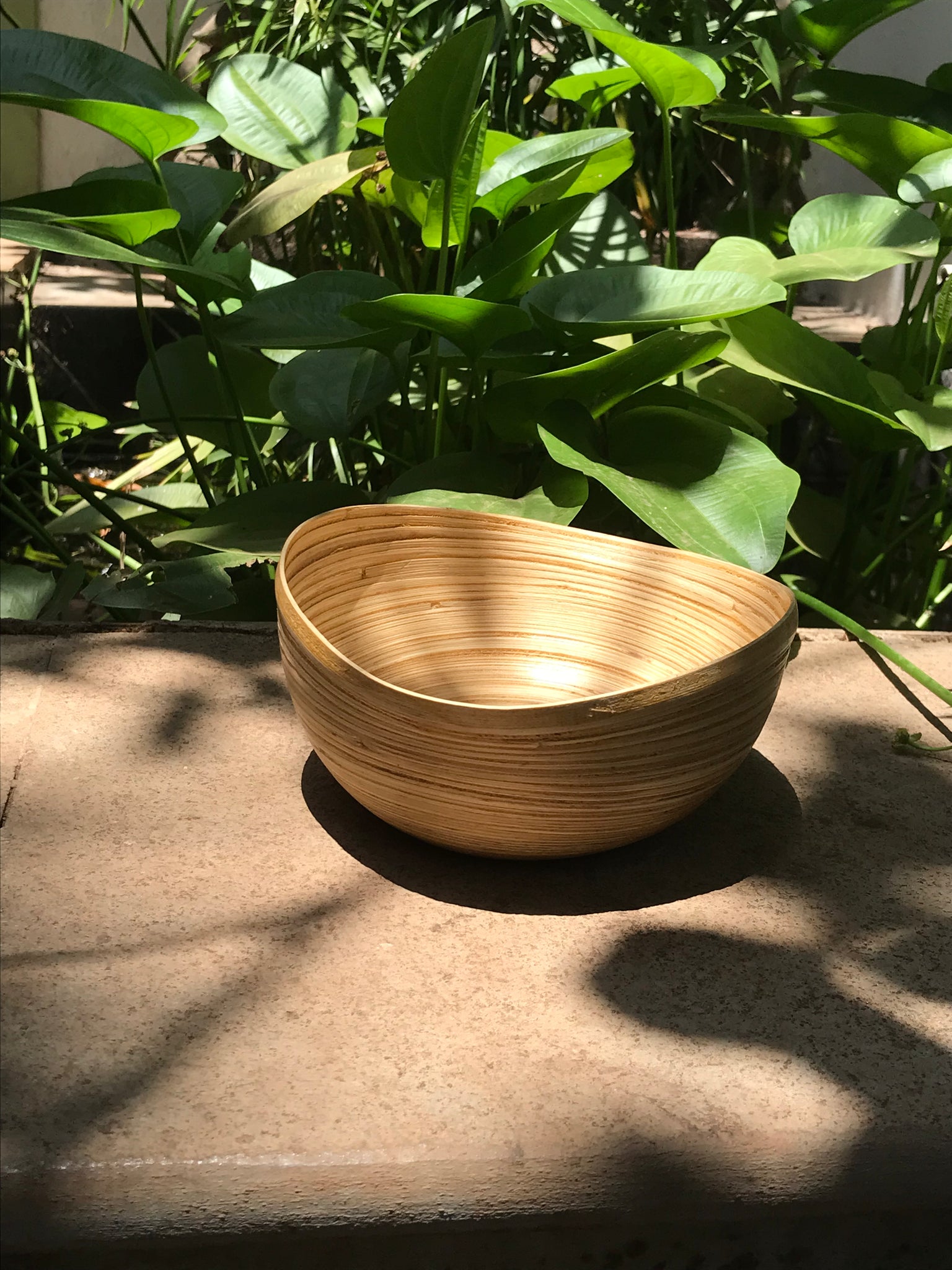 Bamboo Bowl