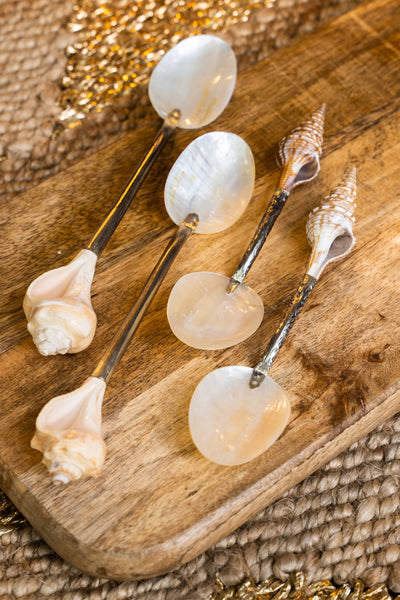 Shell Spoons