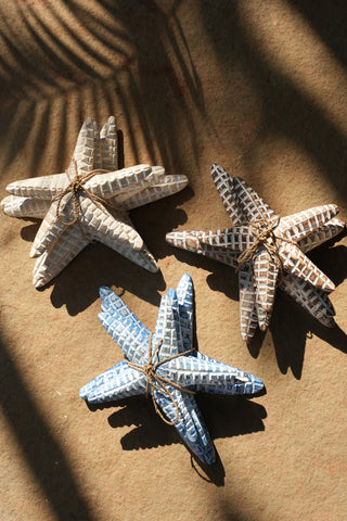 Starfish Trio