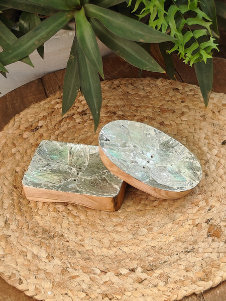 Abalone Soap Dish
