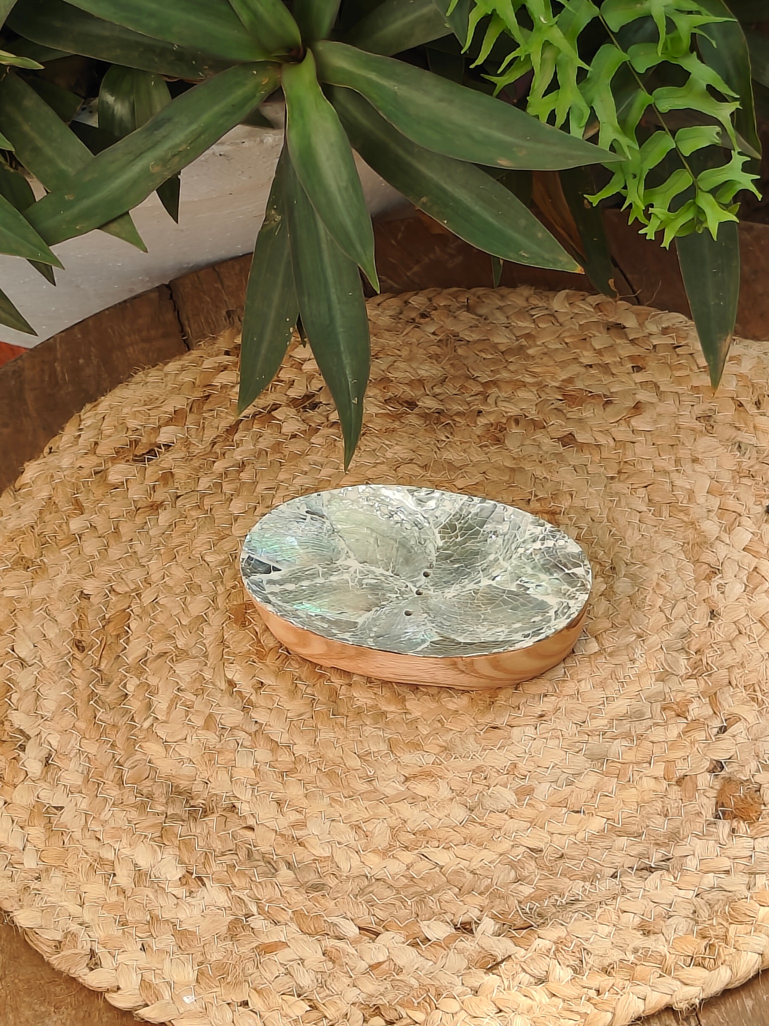 Abalone Soap Dish