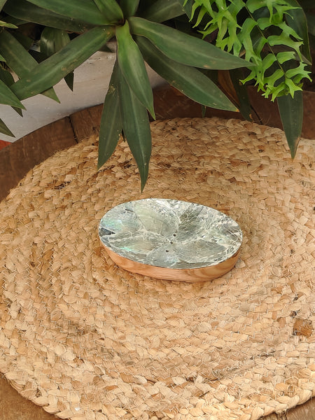 Abalone Soap Dish