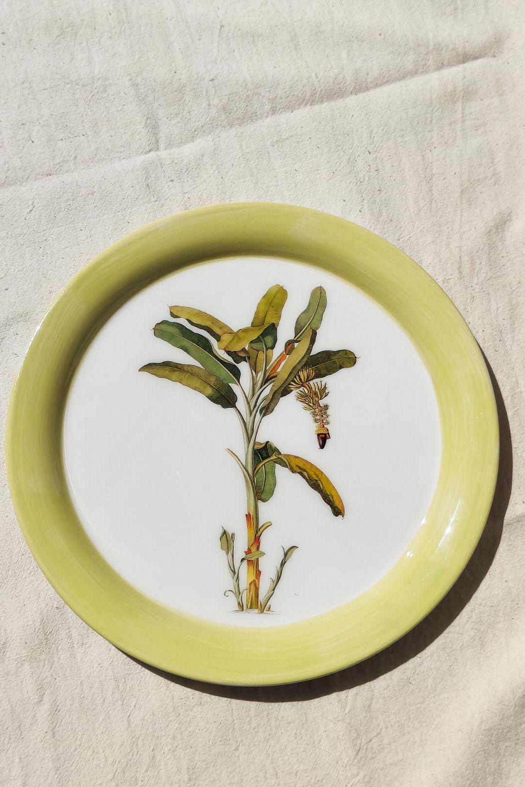 Jungle Plate - Banana Tree