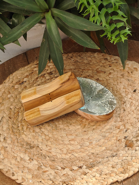 Abalone Soap Dish