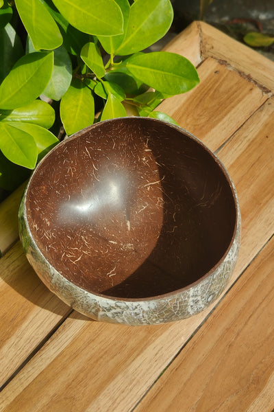 Abalone Coconut Bowl