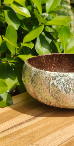 Abalone Coconut Bowl