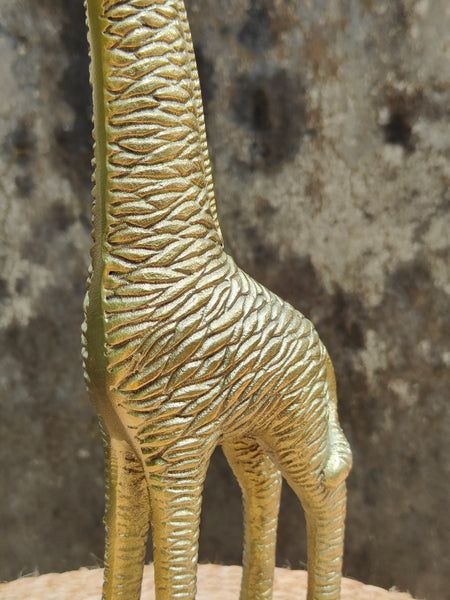Golden Giraffe