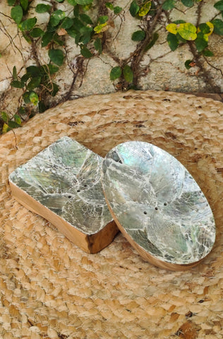 Abalone Soap Dish