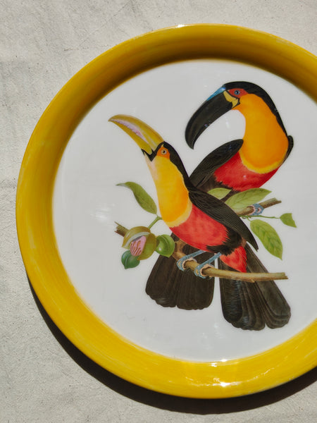 Jungle Plate - Toucan