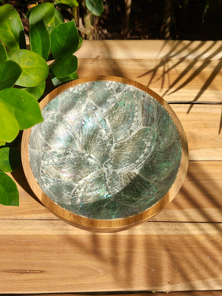 Abalone Coconut Bowl Large