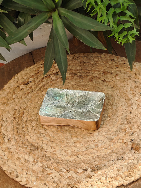 Abalone Soap Dish