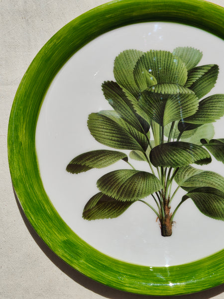 Jungle Plate - Wild Ginger Tree