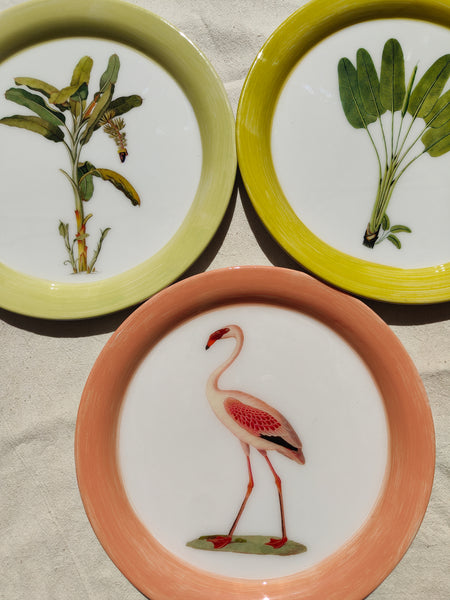 Jungle Plate - Banana Tree