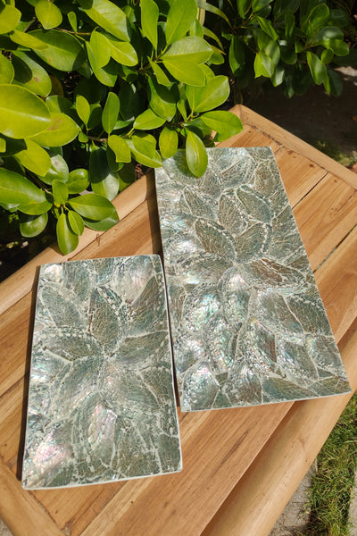 Abalone Resin Tray