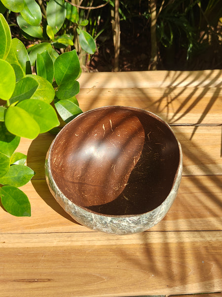 Abalone Coconut Bowl