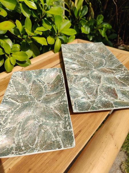 Abalone Resin Tray