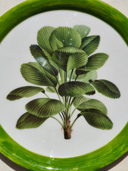 Jungle Plate - Wild Ginger Tree