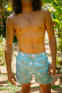 Board Shorts - Parrot