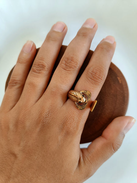 Koi Ring