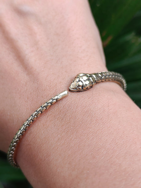 Snake Bracelet