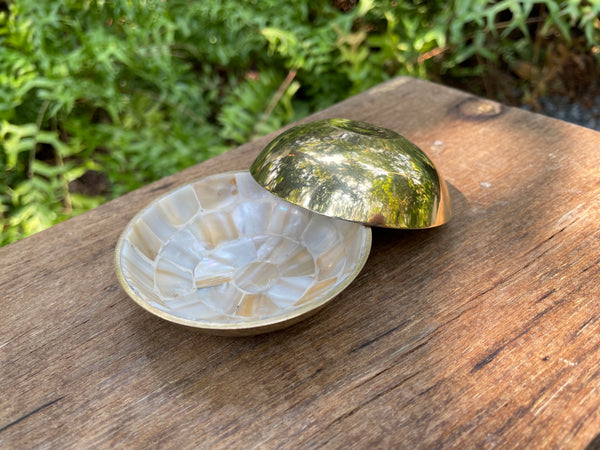 Shell Bowl (Set of 2)