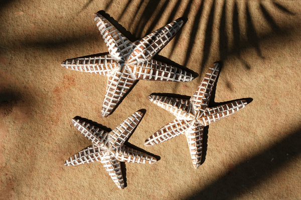 Starfish Trio