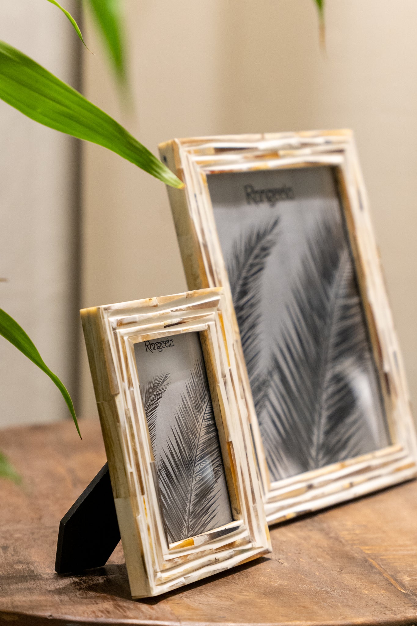 Horn Picture Frame