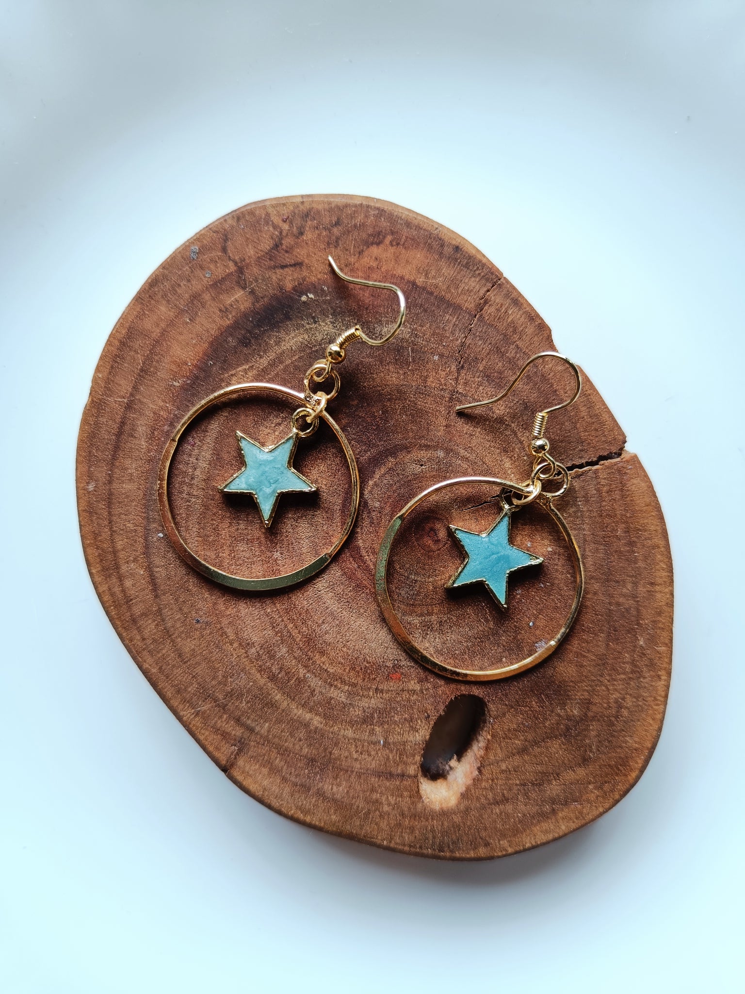 Hooped Star Earrings