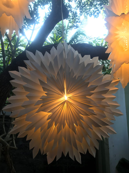 Paper Star