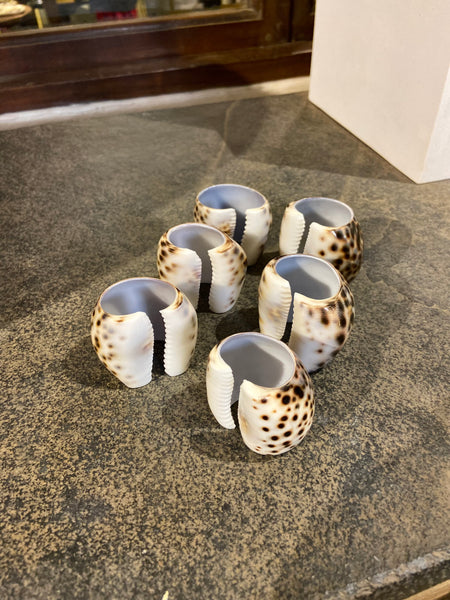 Tiger Cowrie Napkin Ring